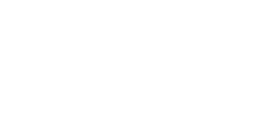 Univ South Carolina logo